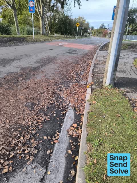Street Gutters / Storm Water — a report photo