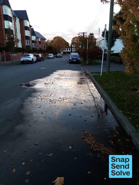Water Leak, a report photo