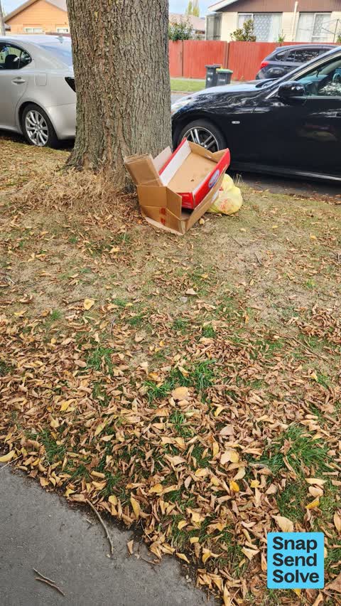Dumped Rubbish — a report photo