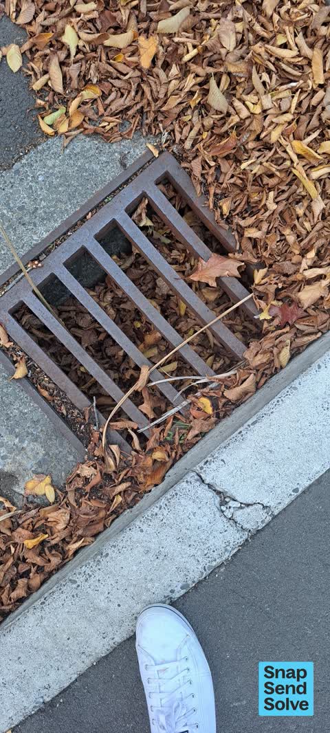 Street Cleaning, a report photo