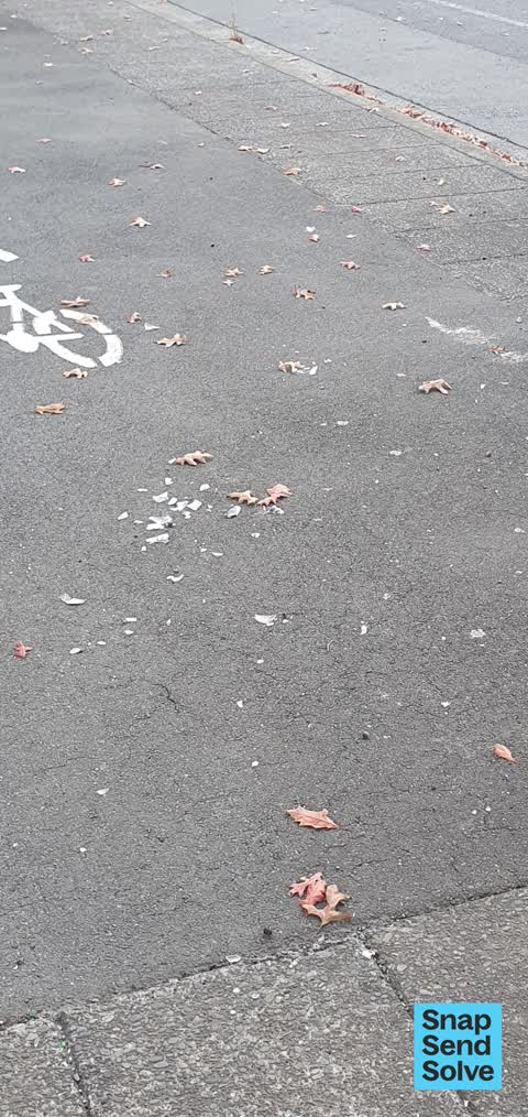 Street Cleaning, a report photo
