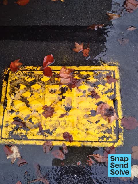 Water Leak, a report photo