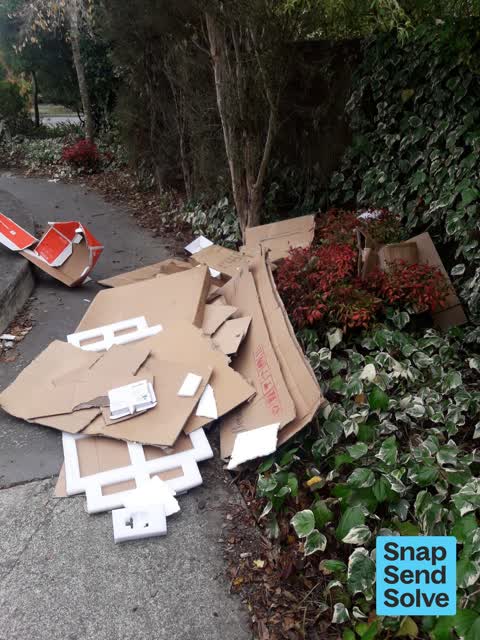 Dumped Rubbish, a report photo