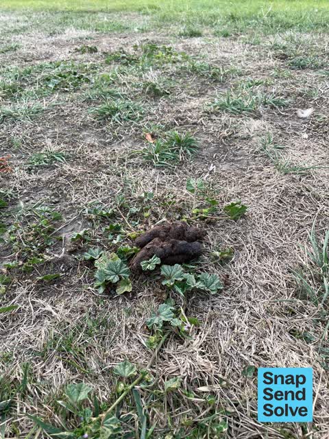 Facility - General Request, a report photo
