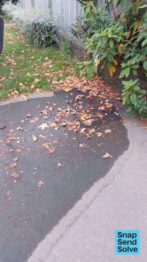 Water Leak, a report photo