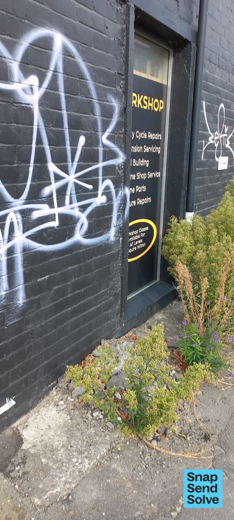Graffiti on a fence, building or structure — a report photo