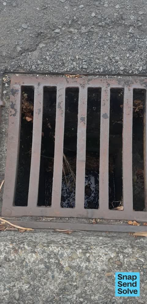 Street Gutters / Storm Water, a report photo