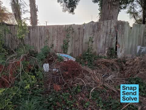 Dumped Rubbish — a report photo