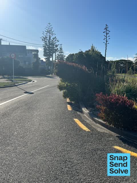 Overgrown Vegetation — a report photo