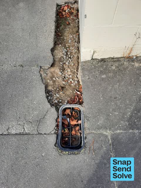 Pavement - Damaged, a report photo