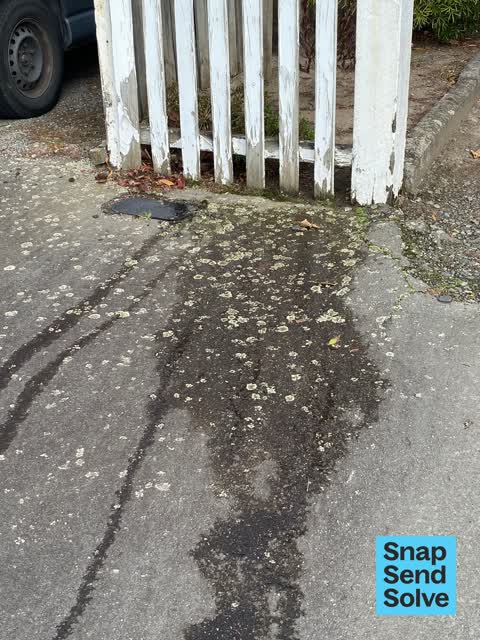 Water Leak, a report photo