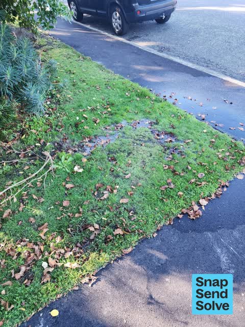Water Leak, a report photo
