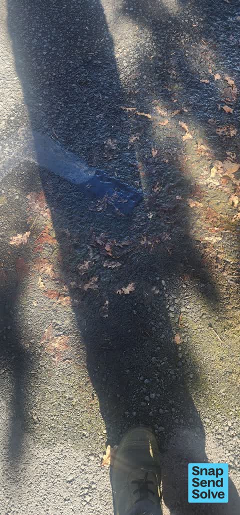 Water Leak, a report photo