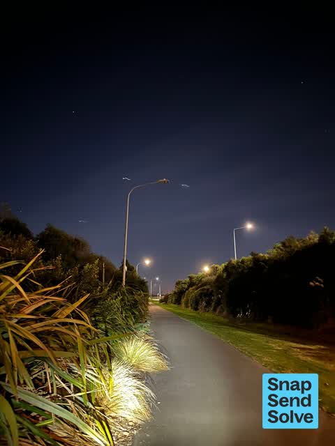 Street Light Outage — a report photo