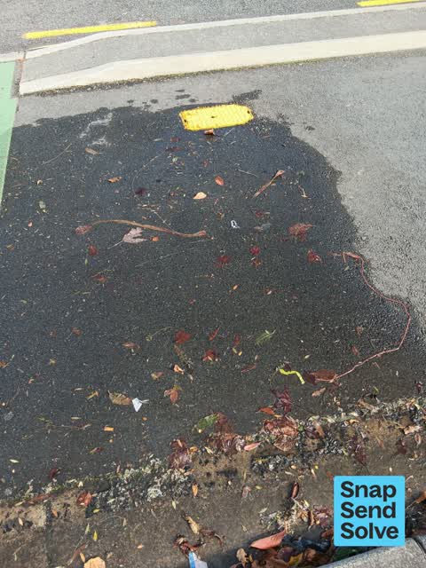 Water Leak, a report photo