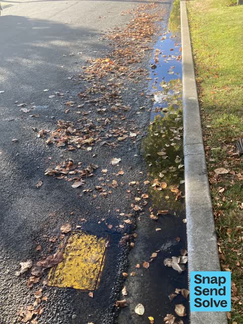 Water Leak, a report photo