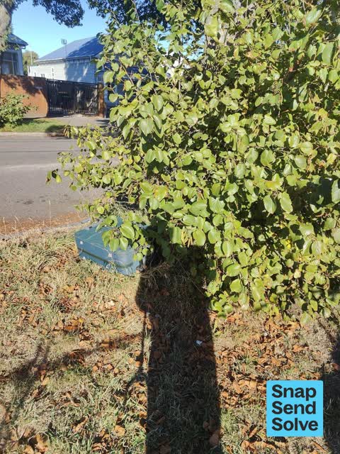 Dumped Rubbish, a report photo