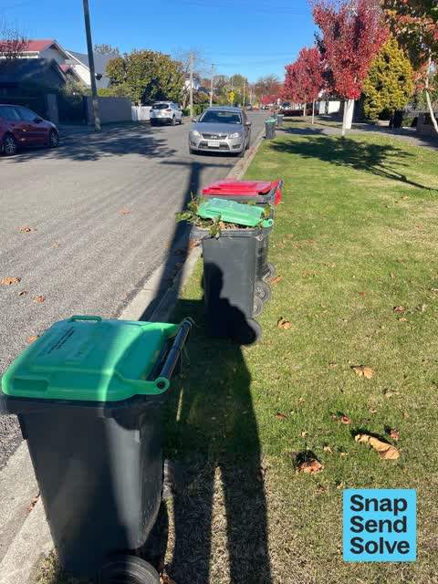 Rubbish and Bins - General, a report photo