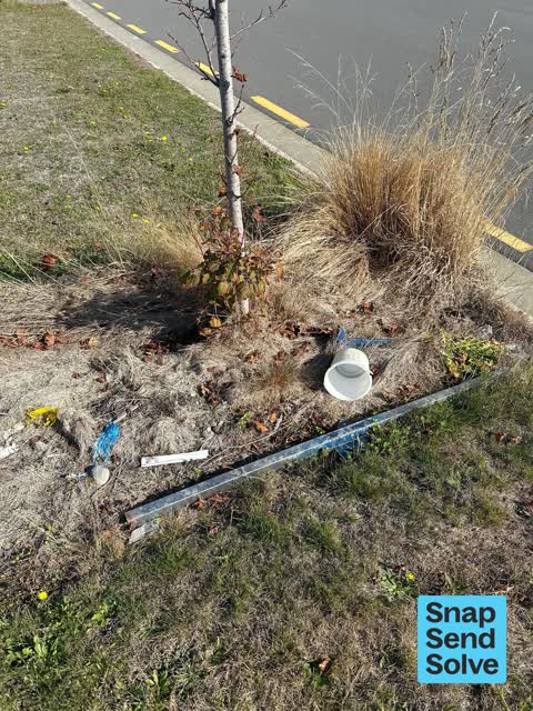 Dumped Rubbish, a report photo