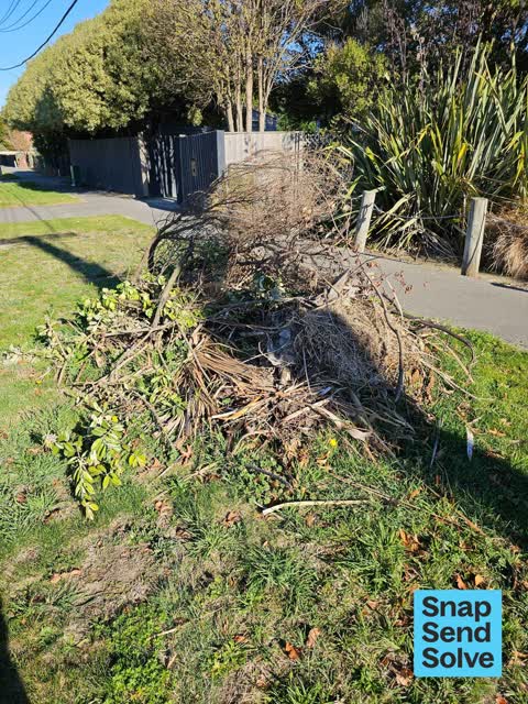 Dumped Rubbish, a report photo