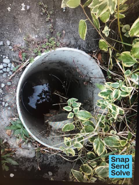 Street Gutters / Storm Water, a report photo