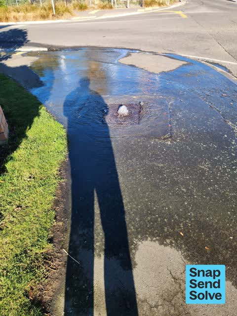 Water Leak, a report photo