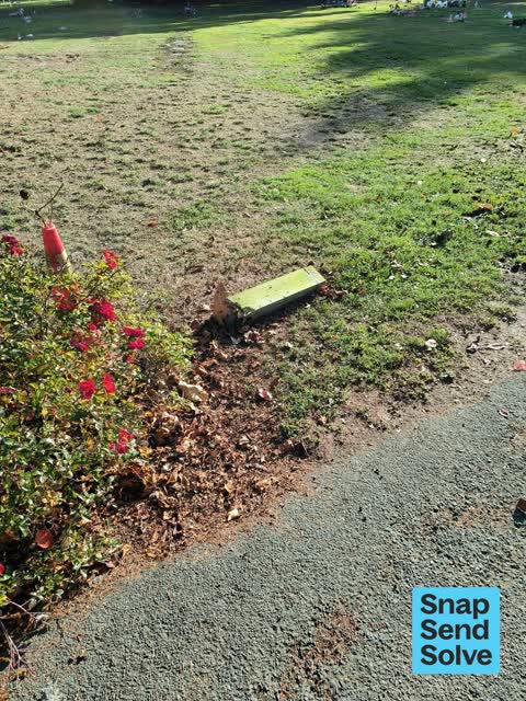 Park - General Request, a report photo
