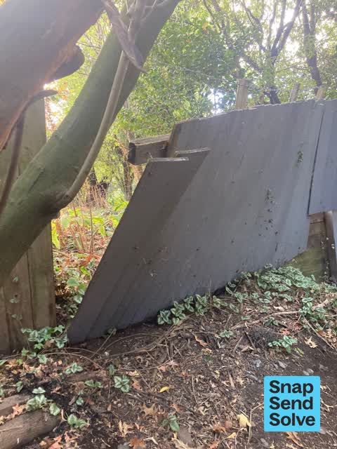 Park - General Request — a report photo