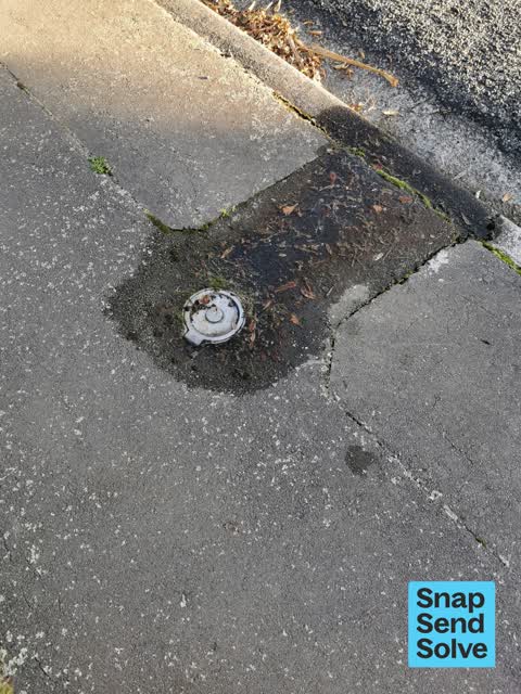 Water Leak, a report photo