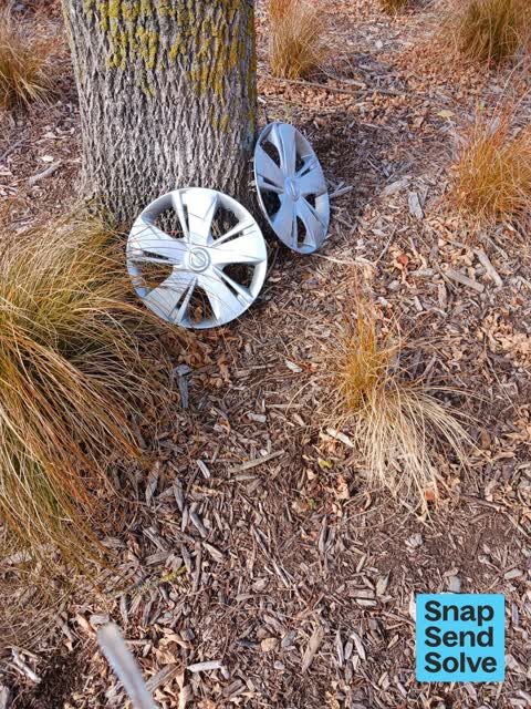 Dumped Rubbish — a report photo