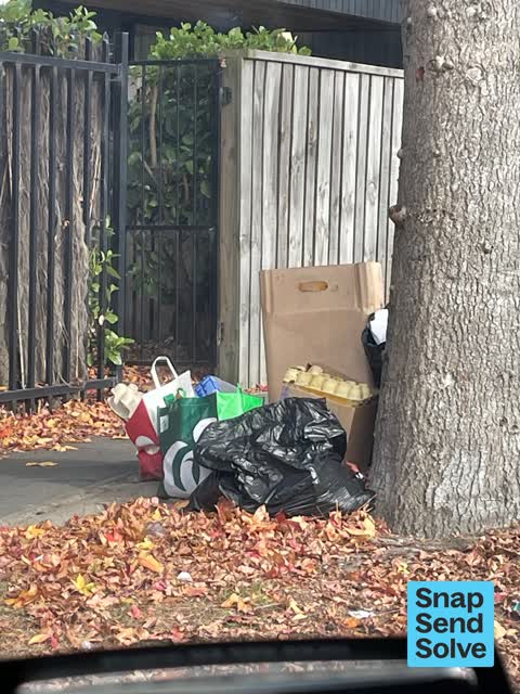 Dumped Rubbish — a report photo