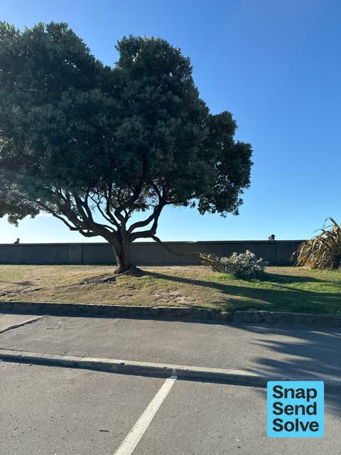 Park - General Request — a report photo