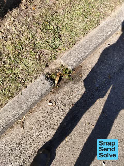 Street Gutters / Storm Water, a report photo