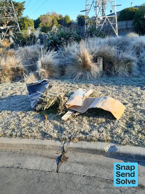 Park - General Request, a report photo