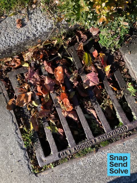 Street Gutters / Storm Water, a report photo