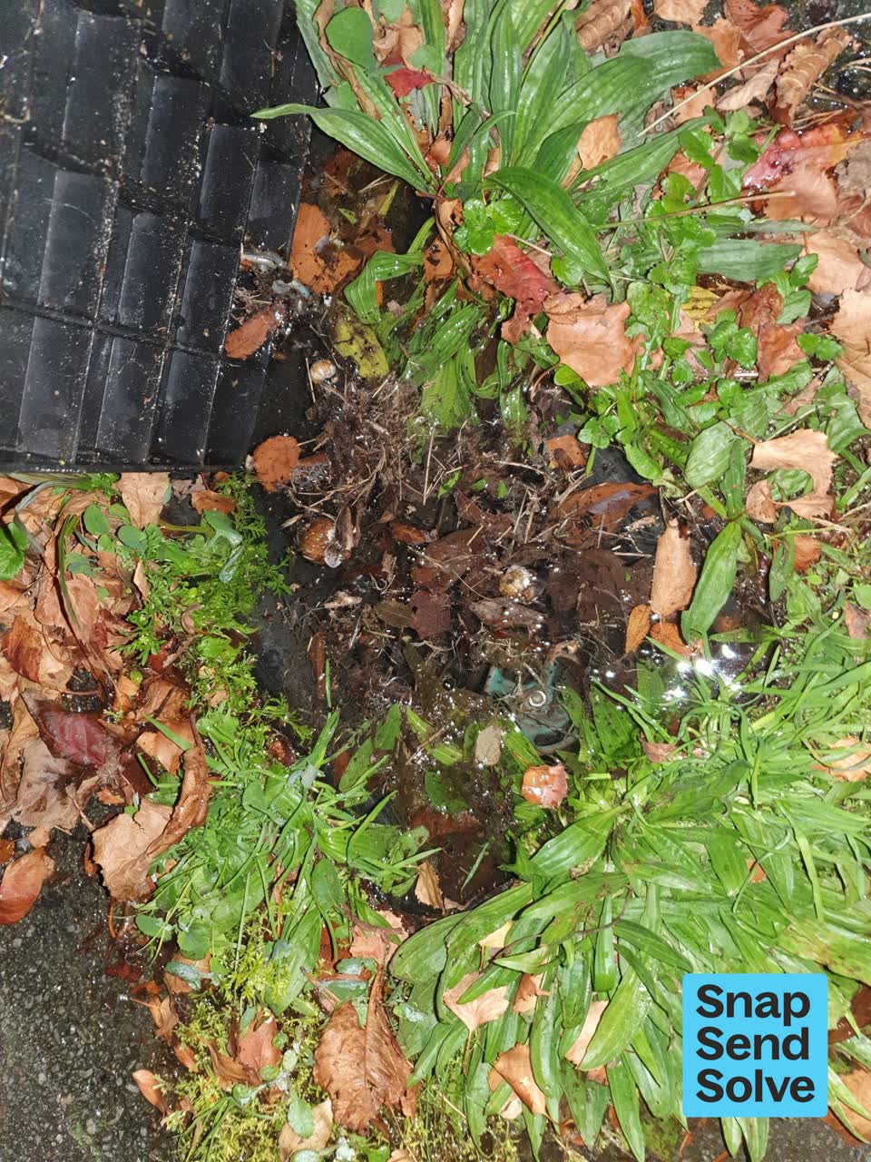 The photograph attached to this water leak report