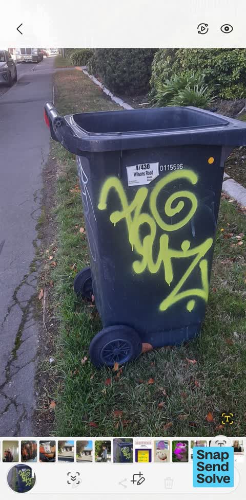 Rubbish and Bins - General — a report photo