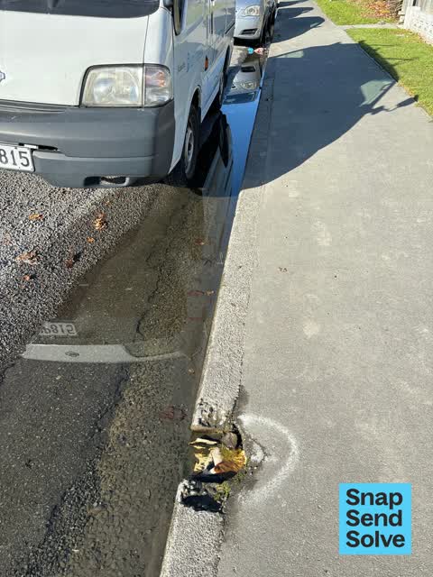 Street Gutters / Storm Water, a report photo