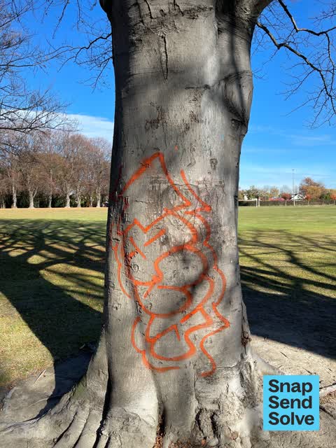 Graffiti on a playground or in a park, a report photo