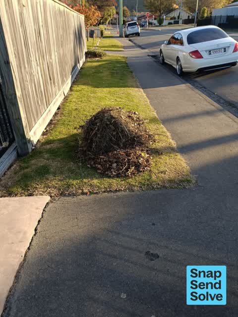 Dumped Rubbish, a report photo