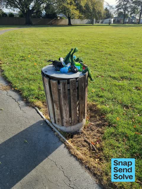 Rubbish and Bins - General, a report photo