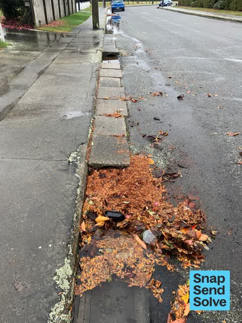 Street Gutters / Storm Water, a report photo