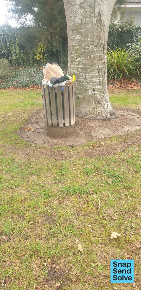 Litter — a report photo