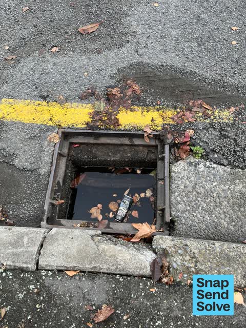 Street Gutters / Storm Water, a report photo