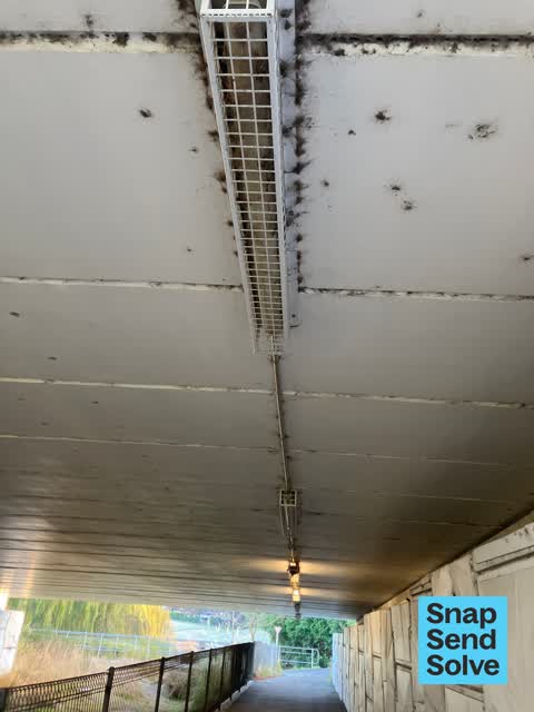 Street Light Outage, a report photo