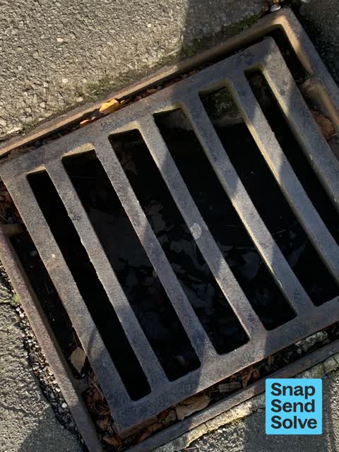 Street Gutters / Storm Water, a report photo