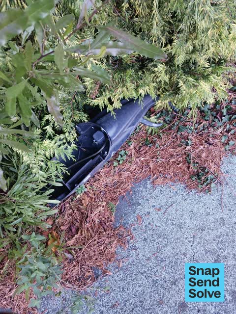 Dumped Rubbish, a report photo
