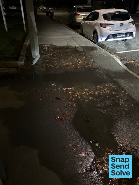 Water Leak, a report photo