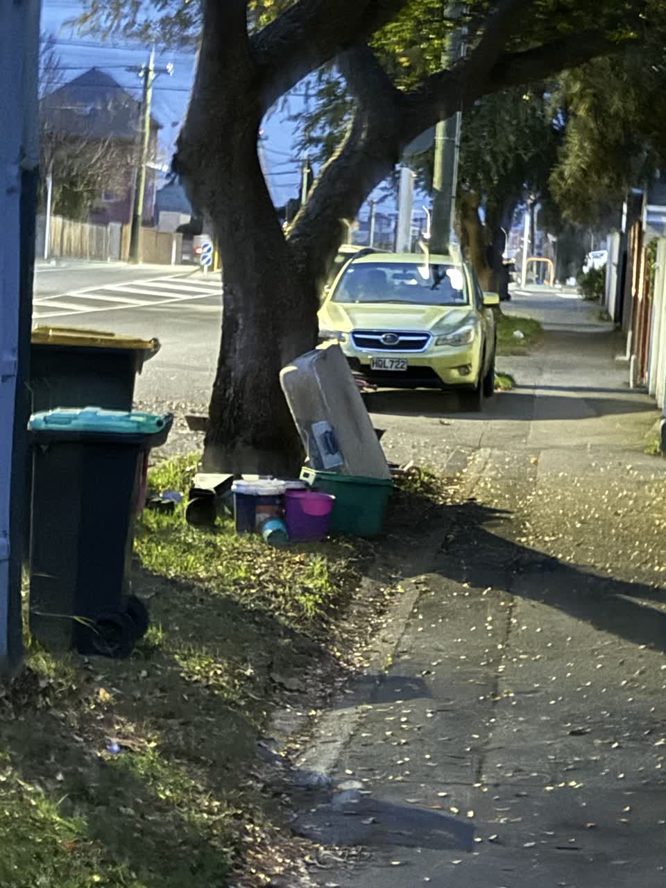 The photograph attached to this litter report