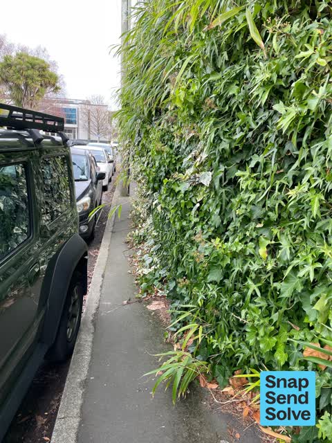 Overgrown Vegetation, a report photo